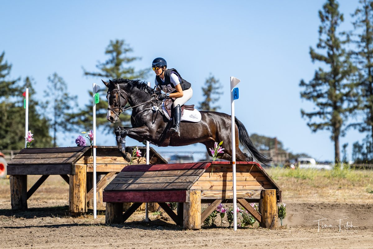 Sigourney Leigh Jellins jumping a wooden cross-country fence