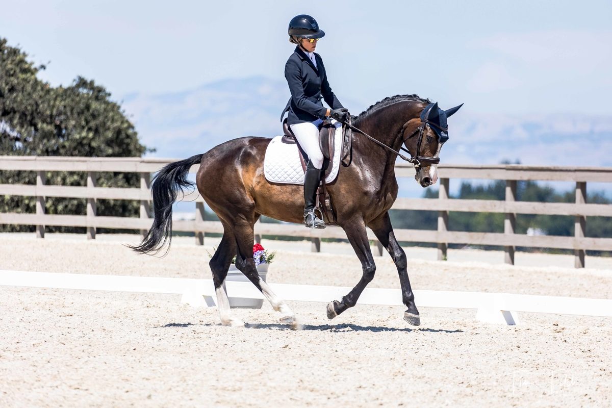 Sigourney Leigh Jellins riding a dark bay horse in a dressage test